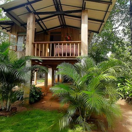 Ruk Sewana Villa Tree House Sigirija Zewnętrze zdjęcie