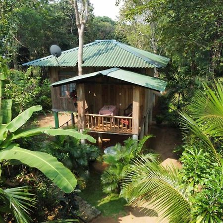 Ruk Sewana Villa Tree House Sigirija Zewnętrze zdjęcie