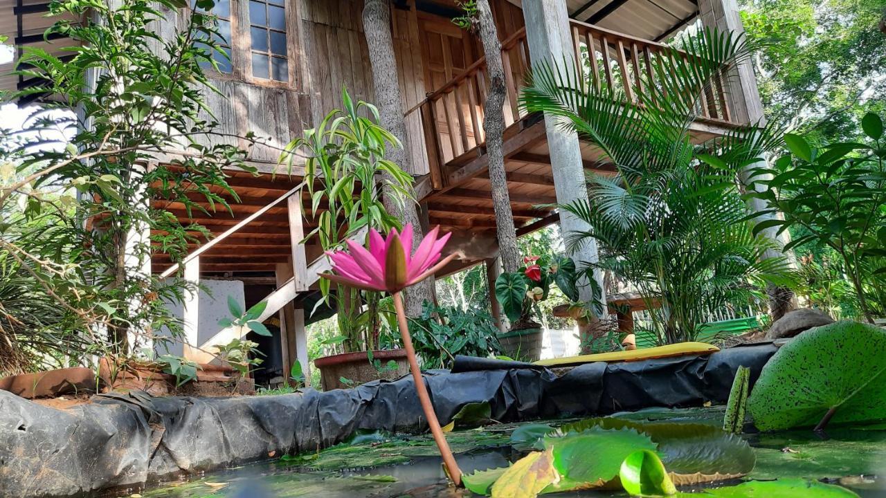 Ruk Sewana Villa Tree House Sigirija Zewnętrze zdjęcie