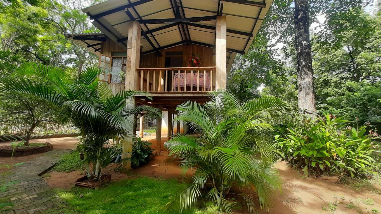 Ruk Sewana Villa Tree House Sigirija Zewnętrze zdjęcie