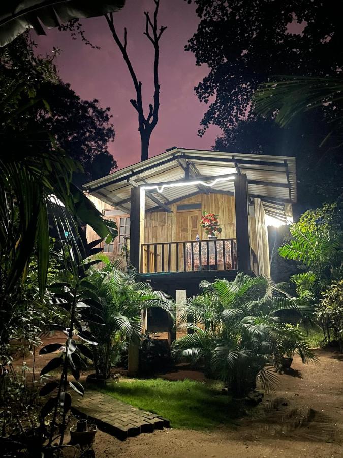 Ruk Sewana Villa Tree House Sigirija Zewnętrze zdjęcie
