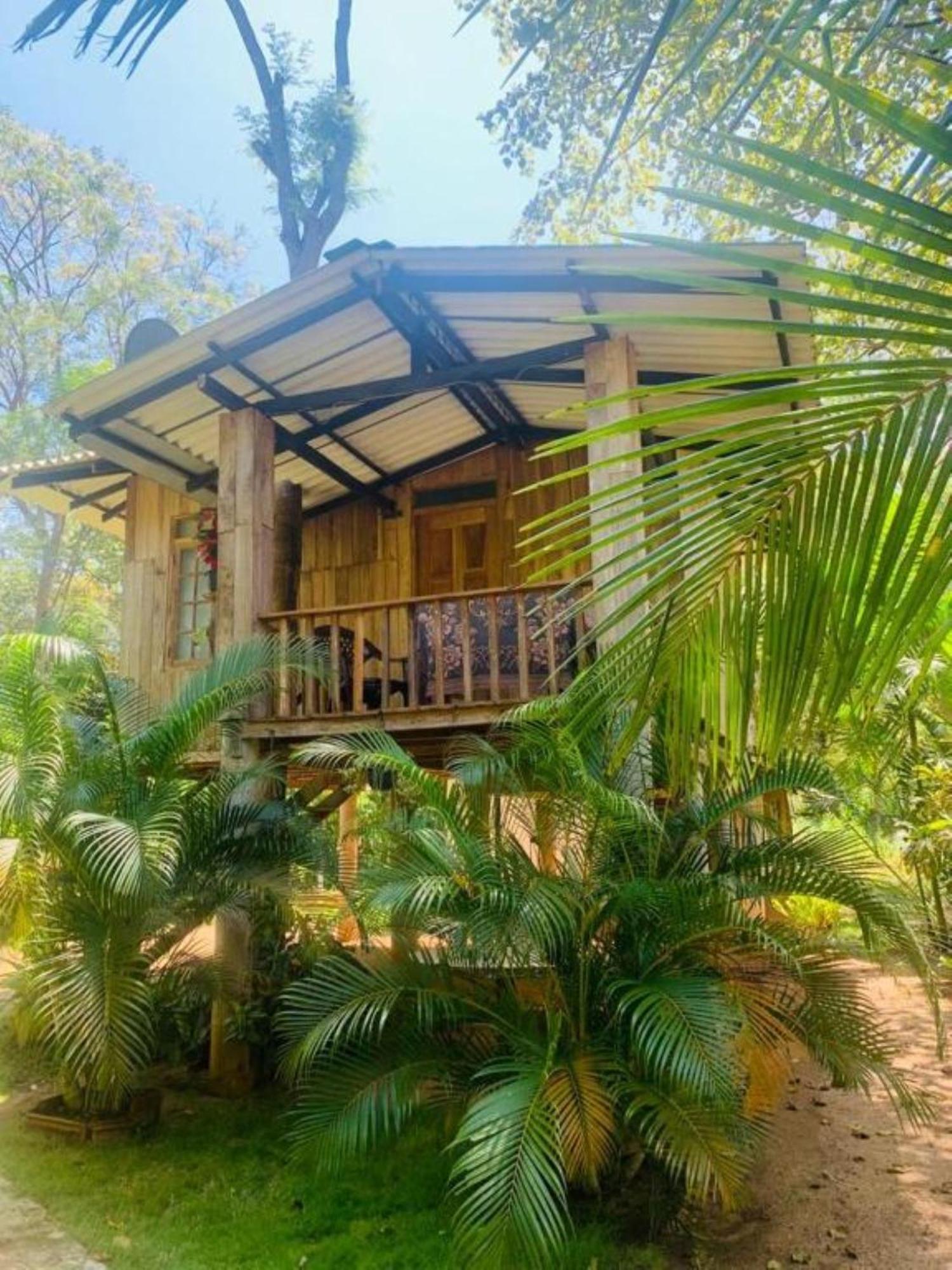 Ruk Sewana Villa Tree House Sigirija Zewnętrze zdjęcie